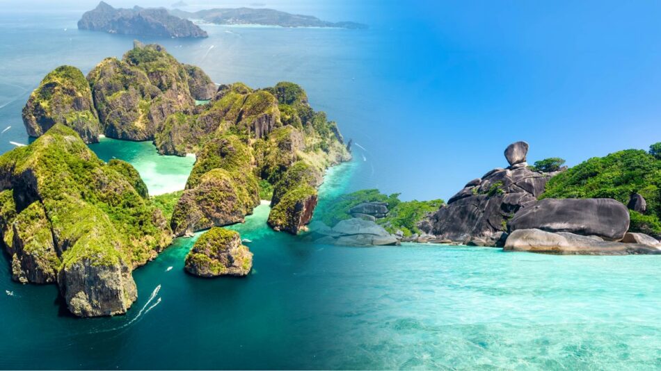 Phi Phi vs Similan Islands: Which Island Tour Should You Choose?