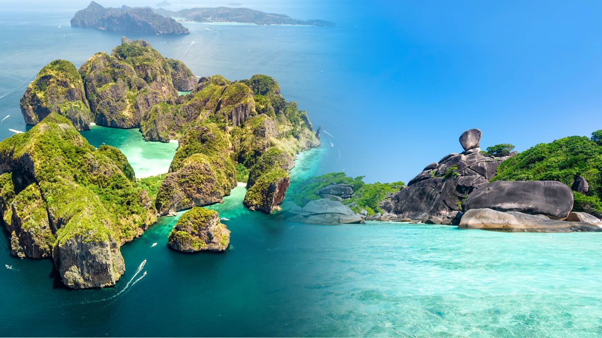 Phi Phi vs Similan Islands: Which Island Tour Should You Choose?